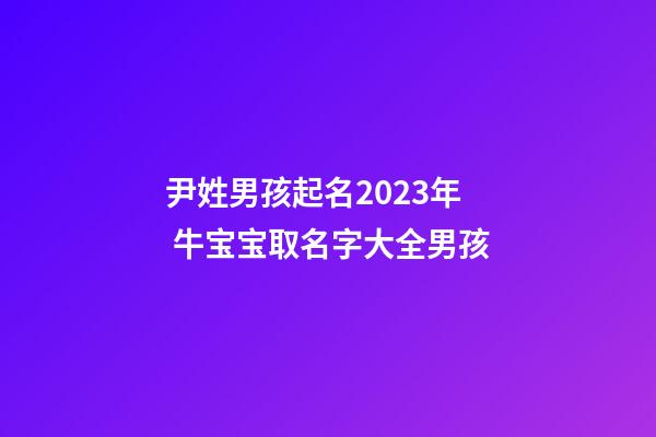 尹姓男孩起名2023年 牛宝宝取名字大全男孩